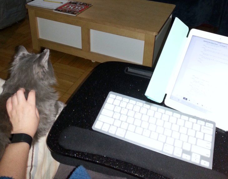 Writing Cat